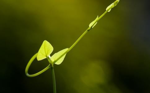 渣男星座都有哪些 表面专一实则花心的天蝎座和双鱼座