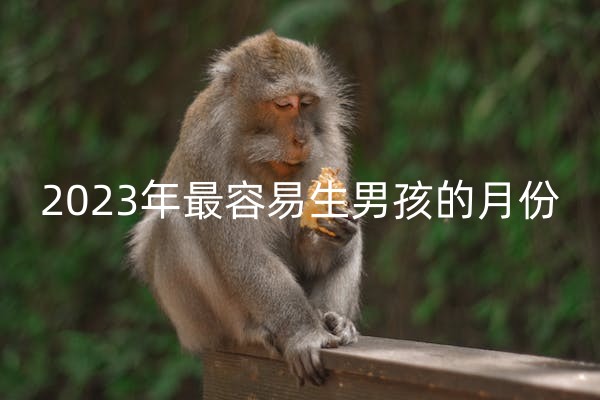 2023年最容易生男孩的月份是几月