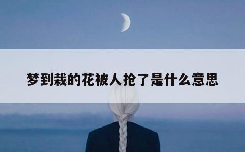 梦到栽的花被人抢了是什么意思