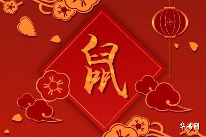 属鼠人招财好运图片，助您迎来充满财富的新年！