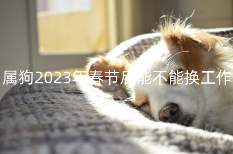 属狗2023年春节后能不能换工作 如何催旺事业运