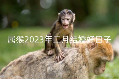 属猴2023年二月结婚好日子有几天