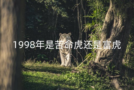 1998年是苦命虎还是富虎 98属虎命里缺儿子吗