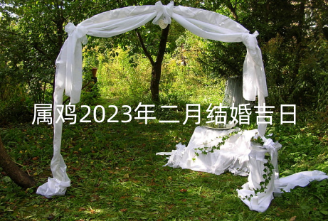 ​属鸡2023年二月结婚吉日 结婚到哪个环节算结束