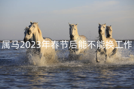 属马2023年春节后能不能换工作 事业吉利方位