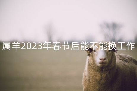 属羊2023年春节后能不能换工作 属羊的事业贵人