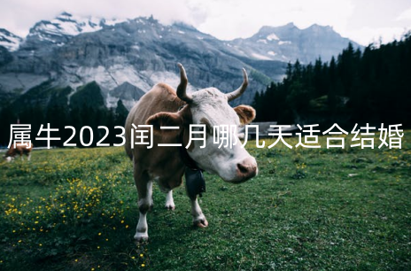 属牛2023年闰二月哪几天适合结婚 共9天