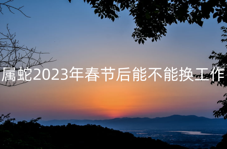 属蛇2023年春节后能不能换工作 最适合什么行业