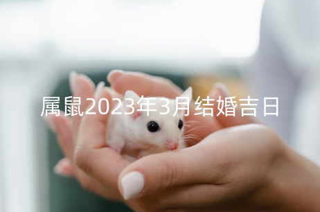 属鼠2023年3月结婚吉日 结婚选日子两个注意点