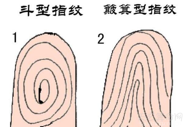 指纹簸箕多的人个性直率 需要注意口舌是非