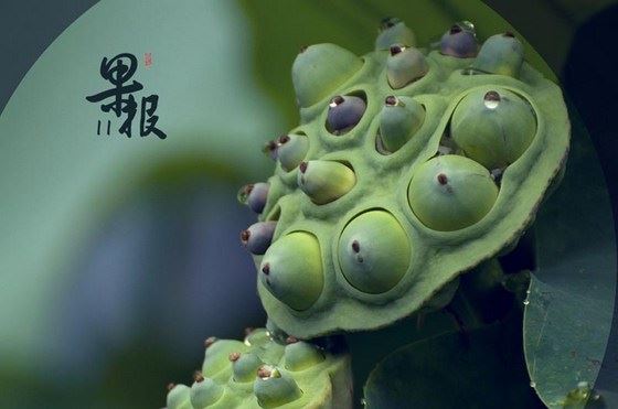 桃花泛滥可做法化解 斩桃花的原理是什么