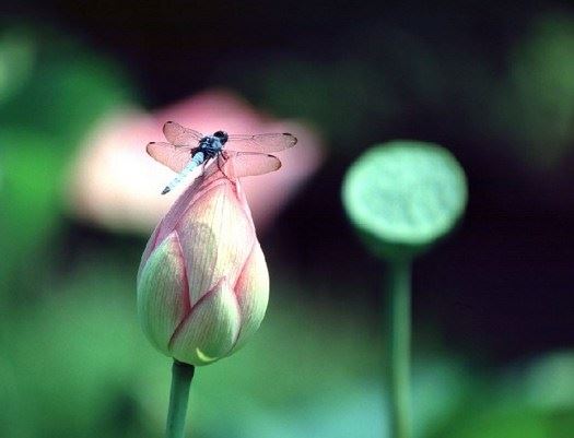 祖先牌位的正确写法分享,写错牌位要怎么处理